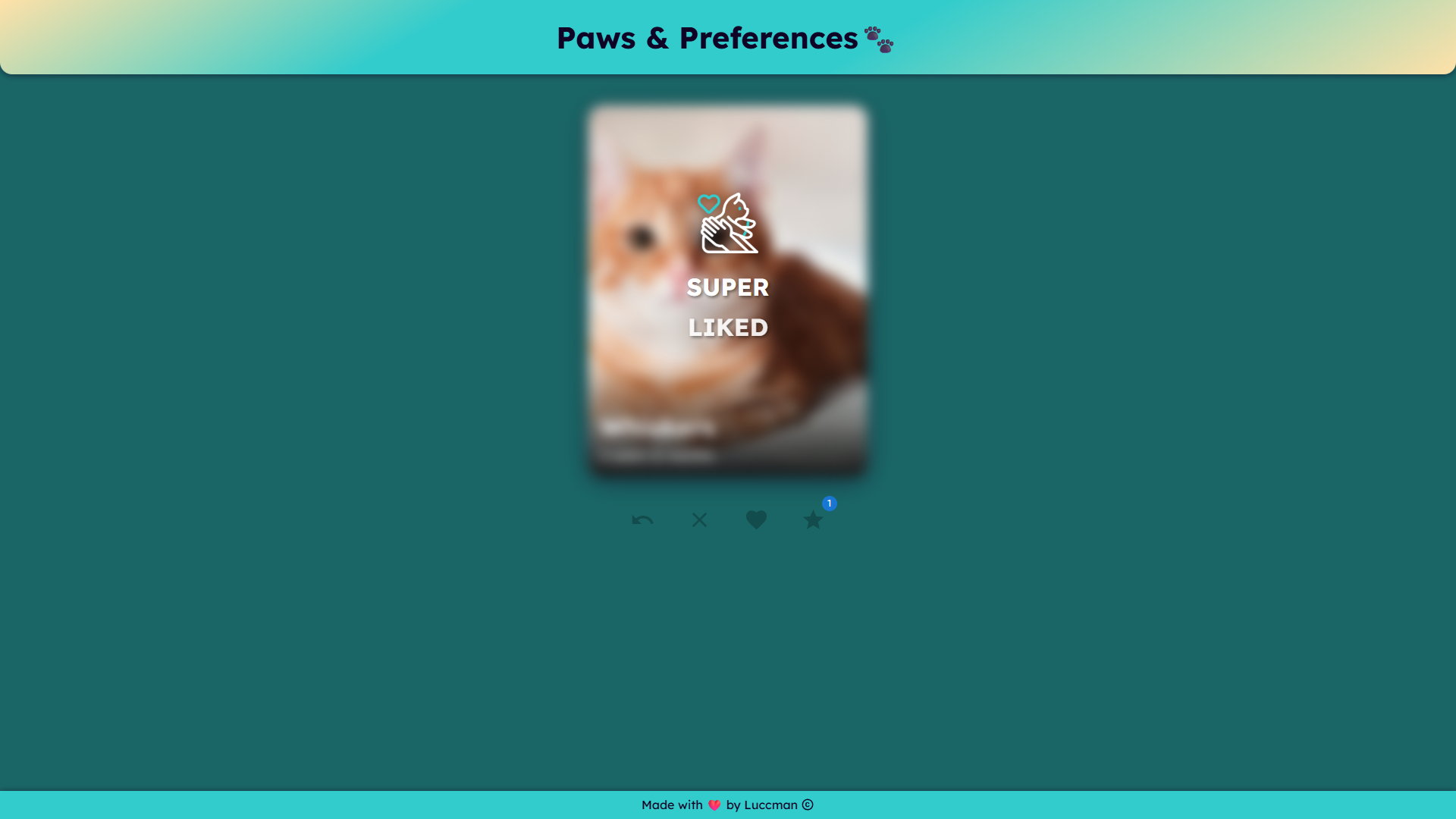 PawsAndPreferences Project Preview 4