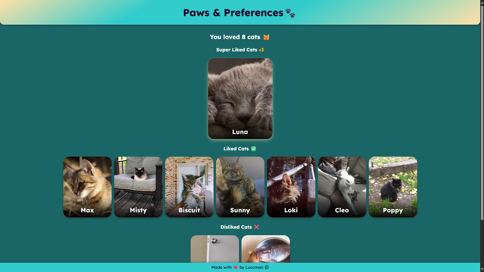 PawsAndPreferences Project Preview A